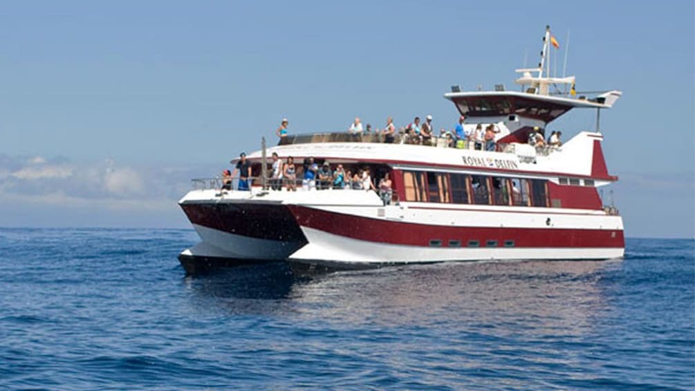 Show item 3 of 7. Royal Delfin Cruise in Tenerife, Spain