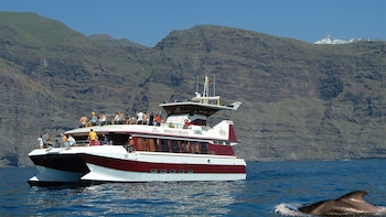 Whale & Dolphin Sightseeing Tour with Underwater Views