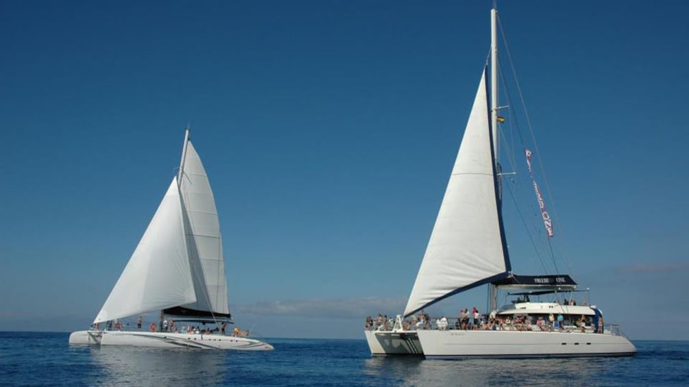 Ver elemento 2 de 5. two sailboats on the water in spain