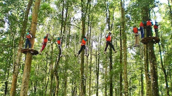 Bali Treetop Full-Day Adventure Tour
