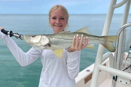 4-Hour Private Inshore Fishing Trip in Sarasota