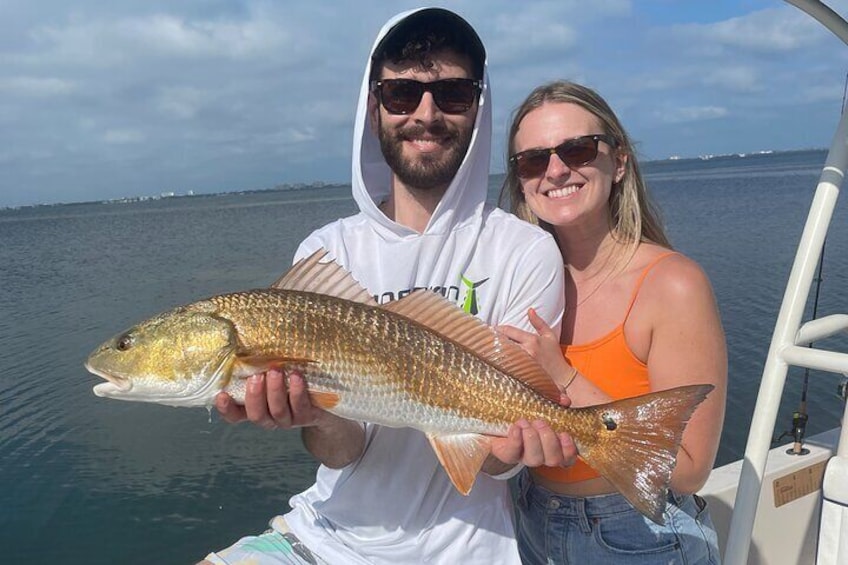 4-Hour Private Inshore Fishing Trip in Sarasota