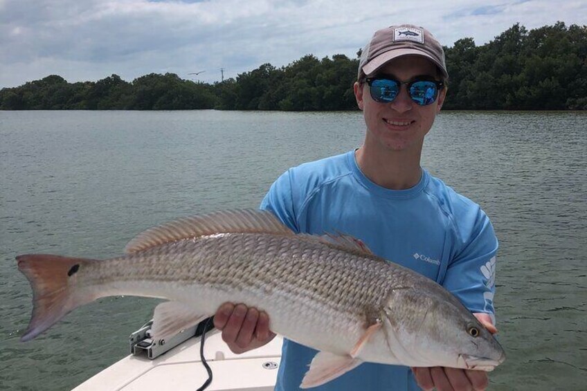 4-Hour Private Inshore Fishing Trip in Sarasota