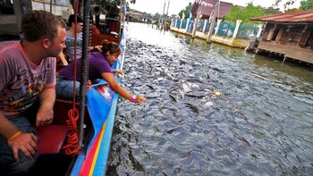 Chao Phraya Backwaters Morning Excursion (Half-Day)