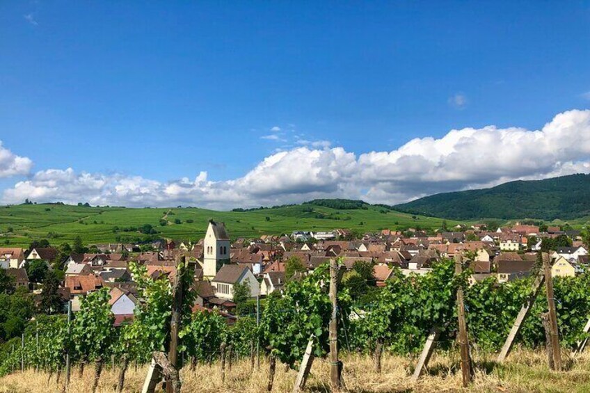 Winegrower walk