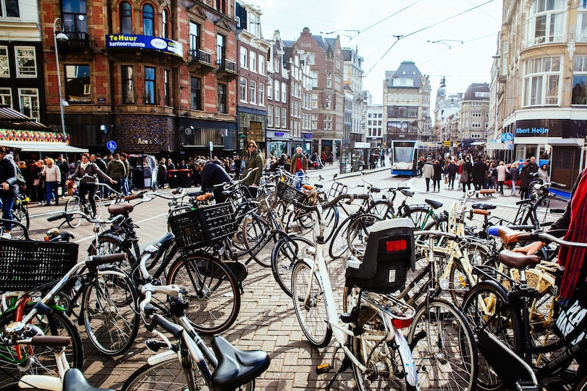 Amsterdam Private City Centre Kickstart Tour