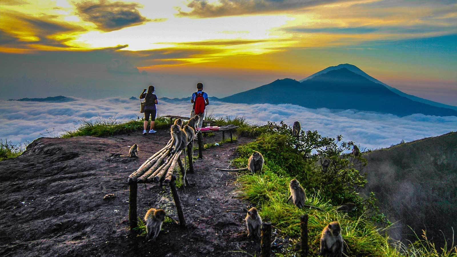 10 TOP Things to Do in Bali  2022 Activity Guide Expedia 