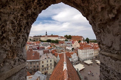 Unique and personal tours of Tallinn Old Town
