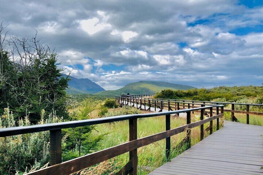 Lapataia Bay Trail