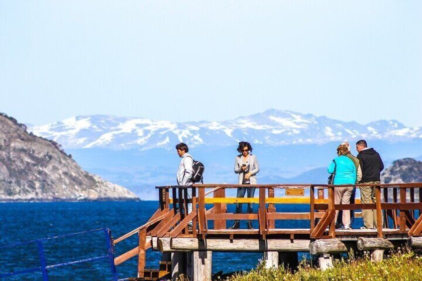 Tour to Tierra del Fuego National Park from Ushuaia