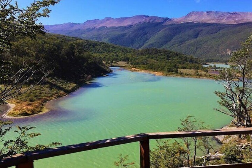 green lagoon