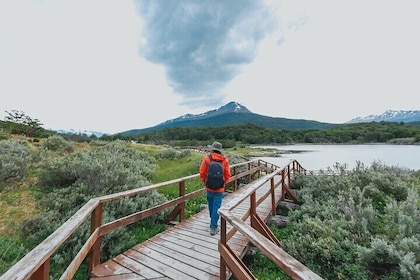 Tour to Tierra del Fuego National Park from Ushuaia