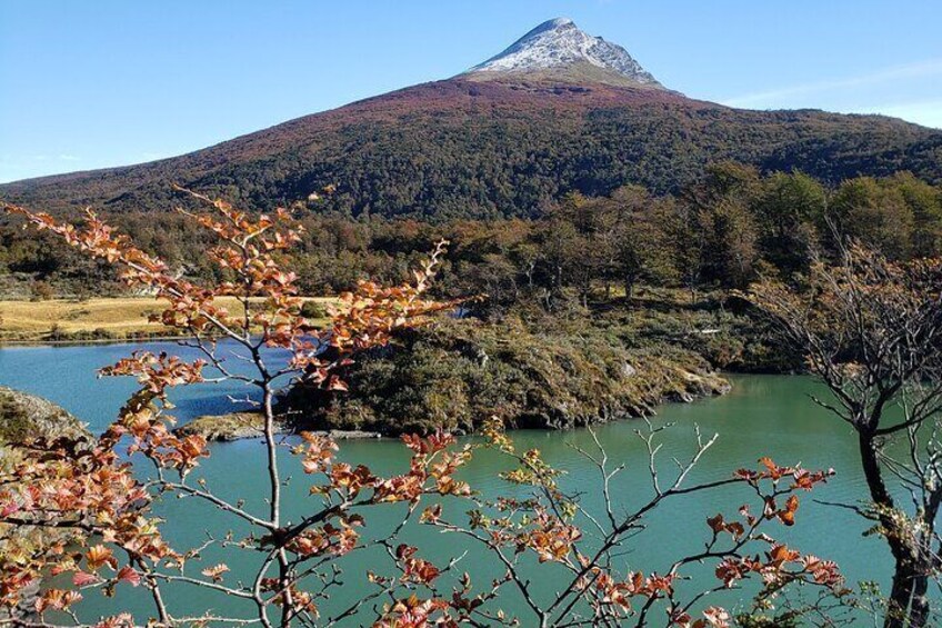 Tour to Tierra del Fuego National Park from Ushuaia