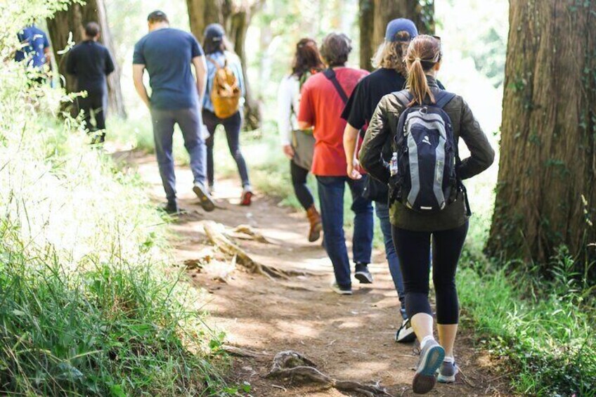 Trekking along the Park Trails