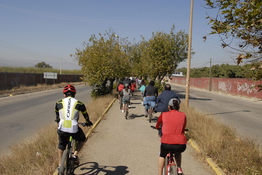 The Tule by Bicycle