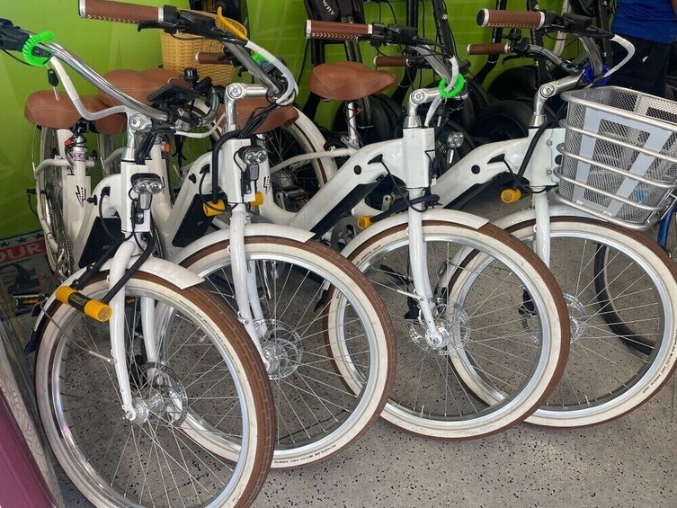 Electric Bike Rental