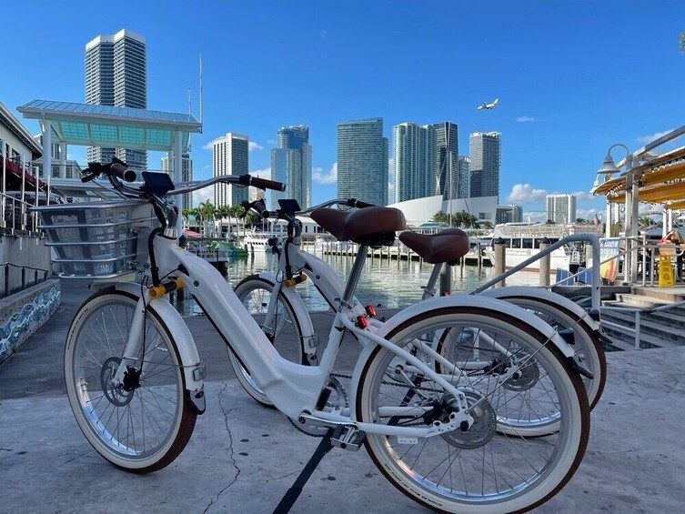 Electric Bike Rental