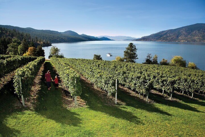 West Kelowna Wine Trail