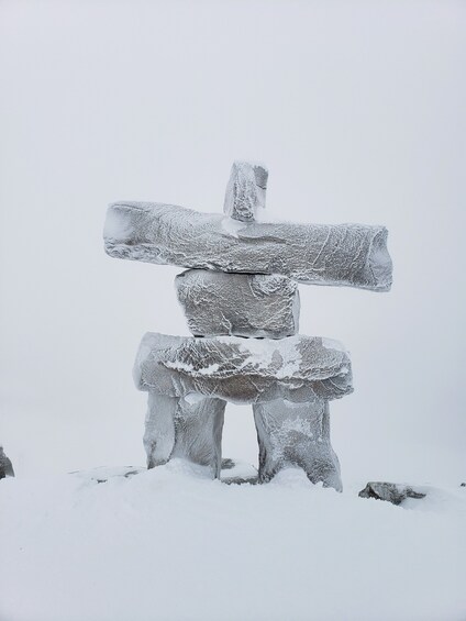 Private Whistler Day Trip