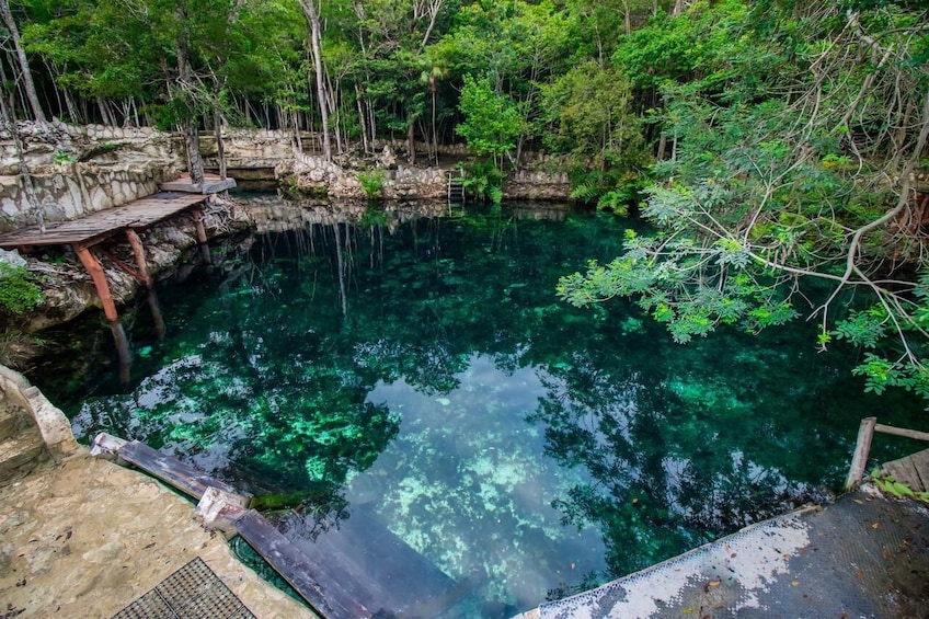 PrivateTulum swimming with turtles and wild cenote in jungle