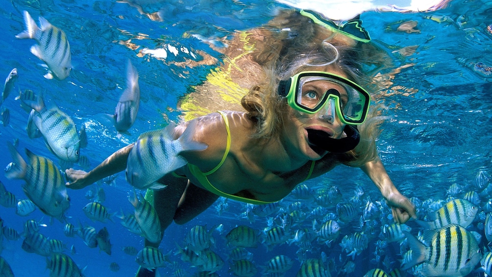 Woman snorkling with fish