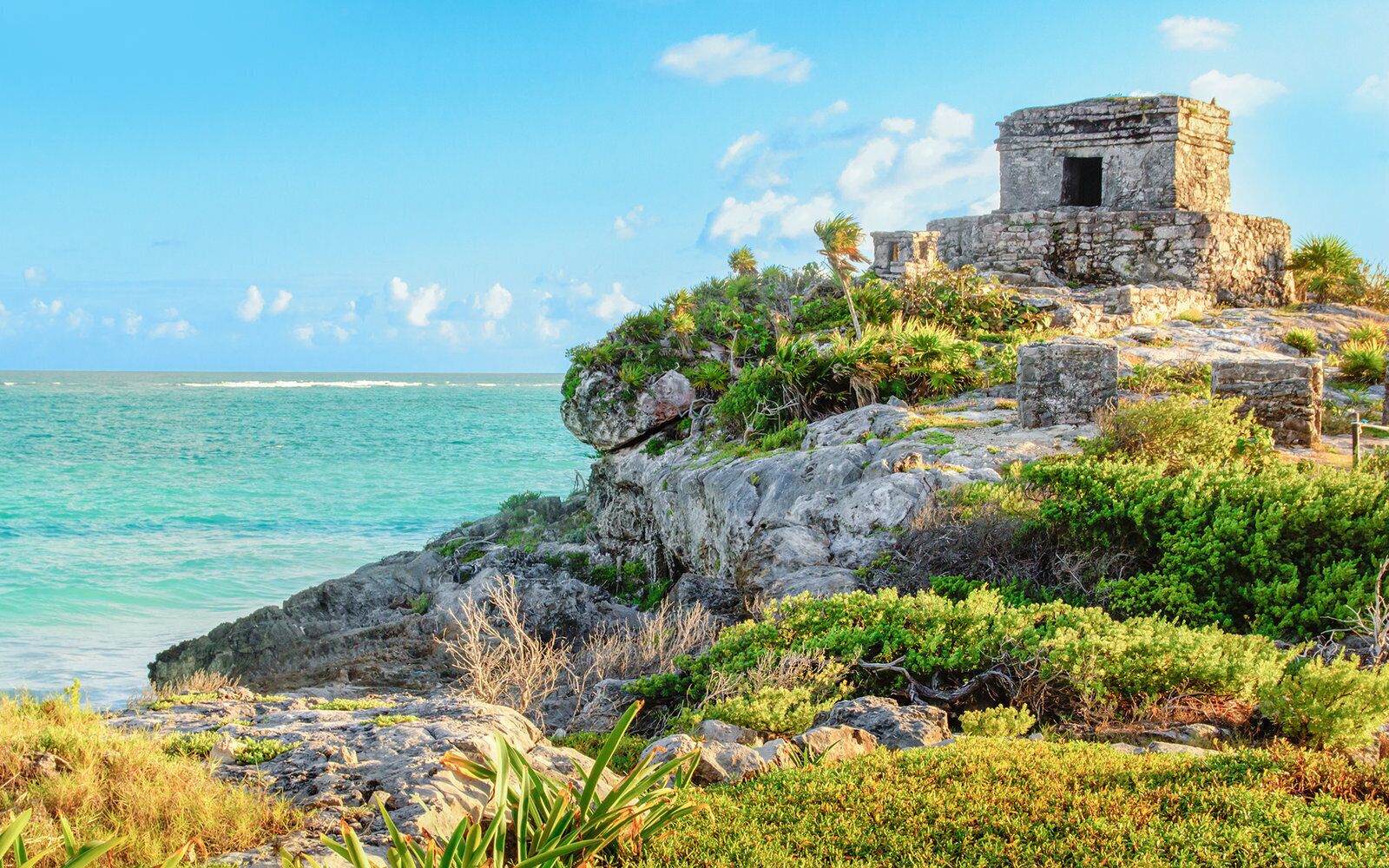 Nado Privado Con Tortugas En Tulum Y Cenote Salvaje En La Selva