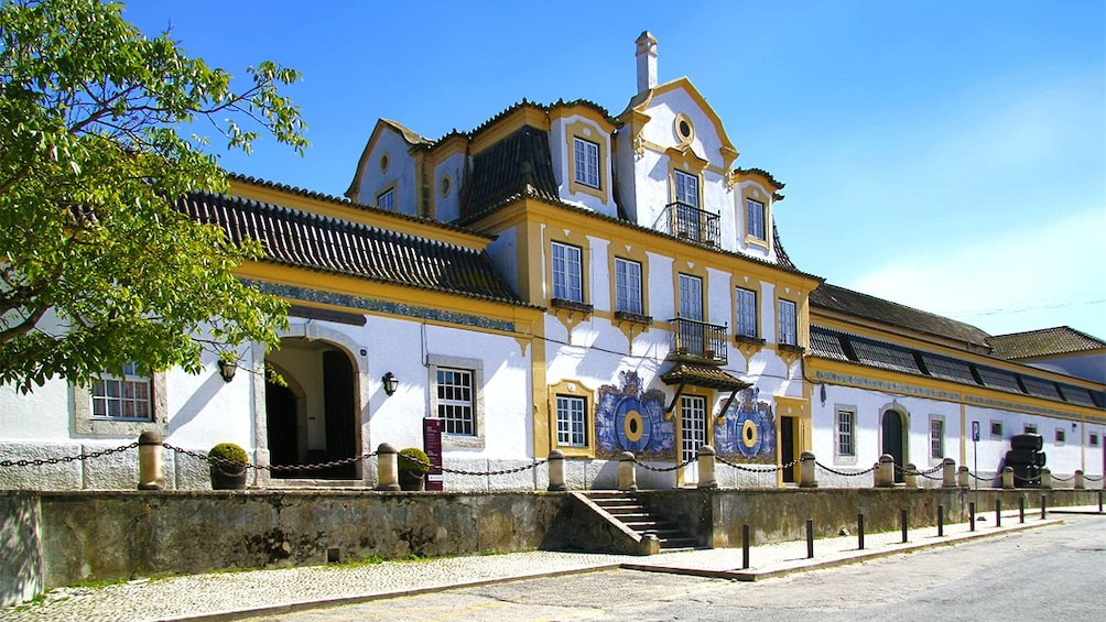 José Maria da Fonseca vineyard