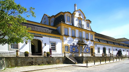 Excursión privada de un día a Arrábida con degustación de vinos en Azeitão