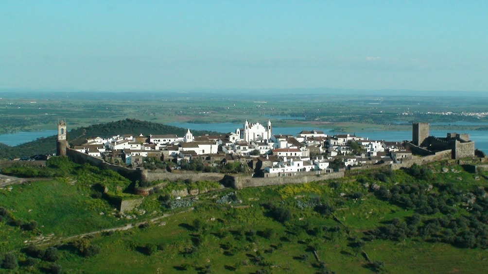 Private Day Trip & Wine Tasting in Alentejo Region