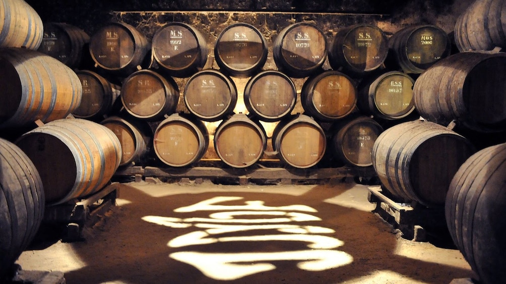 Barrels of wine in a wine cellar