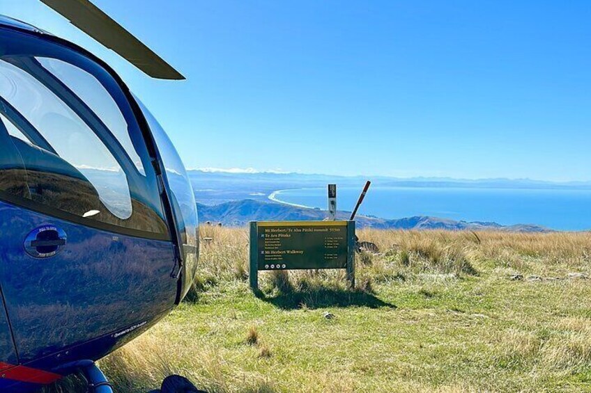 Christchurch Helicopter Picnic