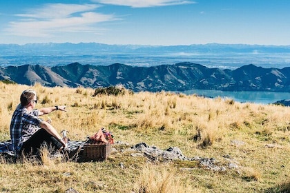 Christchurch Helicopter Picnic