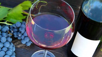 wine maryland western things tasting patapsco region tour expedia