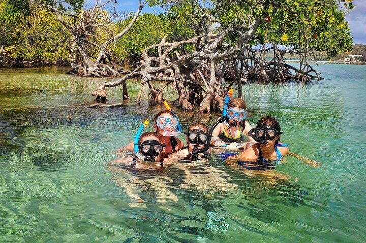 Private La Parguera Snorkeling And Bio Bay Sunset Tour