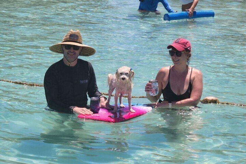 Even dogs have a blast with us!