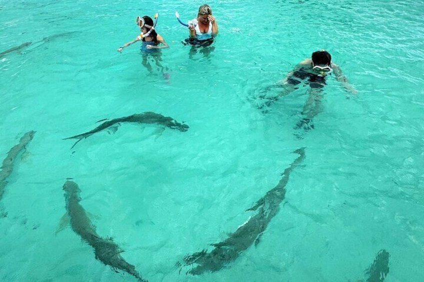 Puerto Rico's Only Private, VIP & Filmed Bio Bay Swim Experience