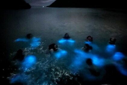 Private Parguera Snorkeling, Sunset & Biobay Swim Boat Experience from San ...