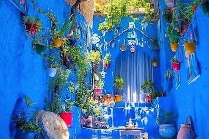 Private full day trip to chefchaouen from Casablanca with lunch