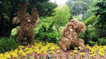 Small Group Tour to Atlanta Botanical Gardens