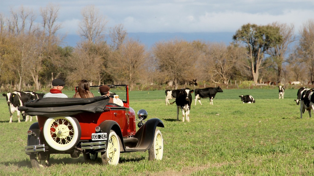 Show item 4 of 5. Landscape view of a group on the Calchaquies Valleys Antique Tour in Argentina