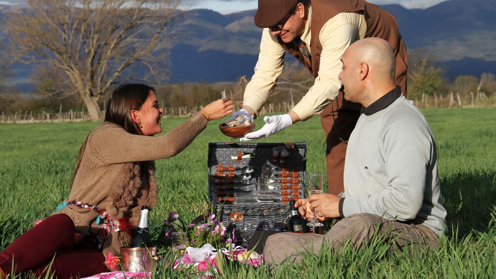 Show item 5 of 5. people on picnic in Argentina