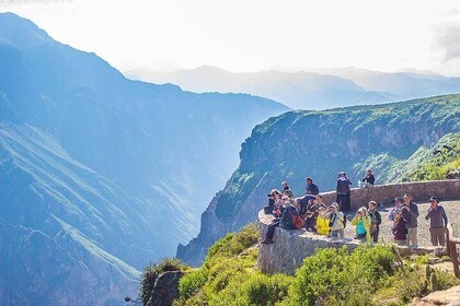 Día completo del cañón de Arequipa Colca (Tour en grupo)