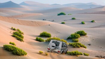 Luxury Desert Dune Dinner