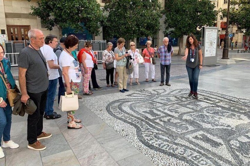 Private tour of Granada center. Total price per group between 1 and 30 people