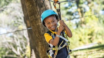 Adventureworks Climb Zip Swing Experience