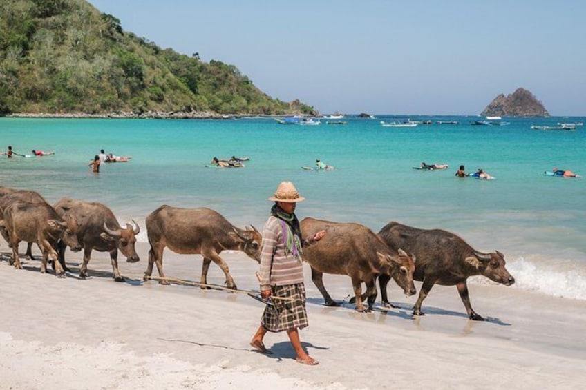 South Lombok Beaches Tour with Japanese-Speaking Guide