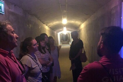 Shelters of Almería: Entrance + guaranteed tour.