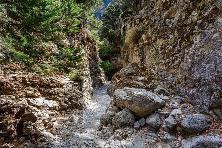  Private hike Imbros gorge & explore Sfakia with lunch