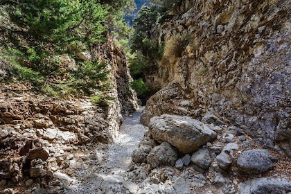 Hike Imbros gorge & explore Sfakia with lunch