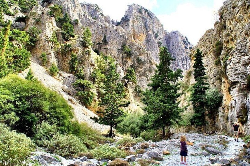  Private hike Imbros gorge & explore Sfakia with lunch